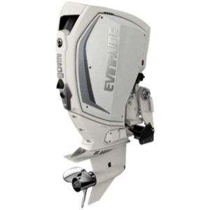 Evinrude H250HWXA 250 HO Outboard Motor